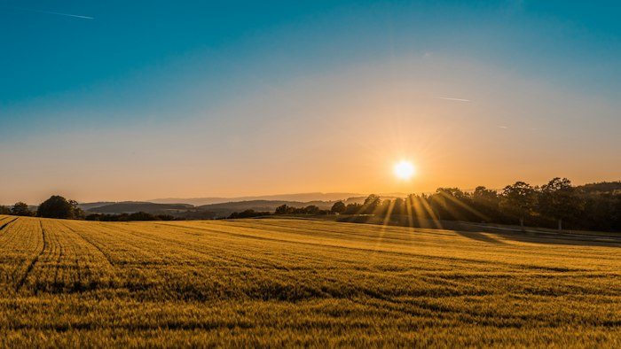 Agriculture and Food Processing technology