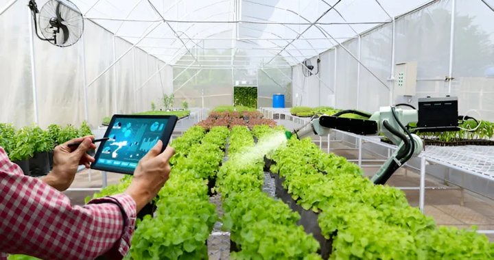 Technology-supported greenhouse agriculture